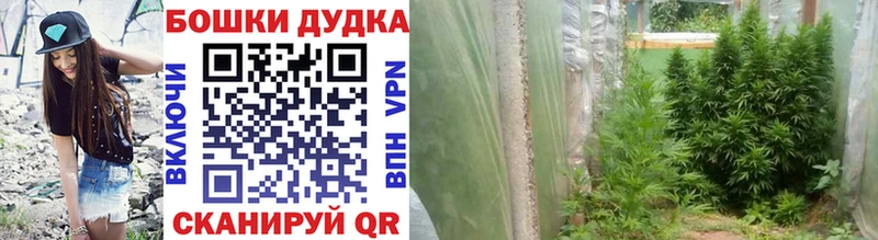 Конопля VHQ  Краснообск 